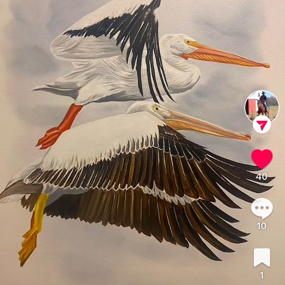 Double pelicans in flight